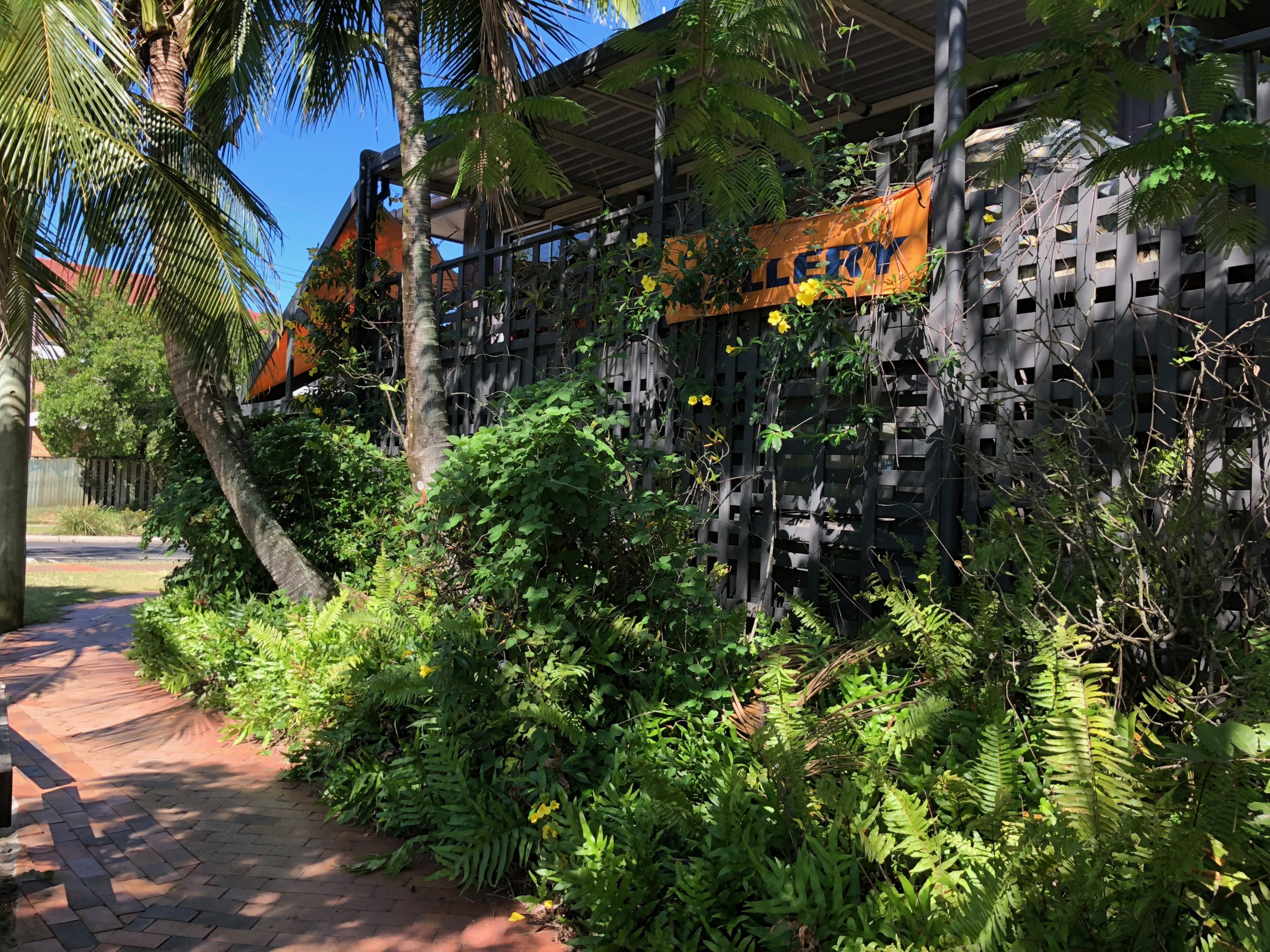 The Old Gallery side view with ferns, palm trees and vines